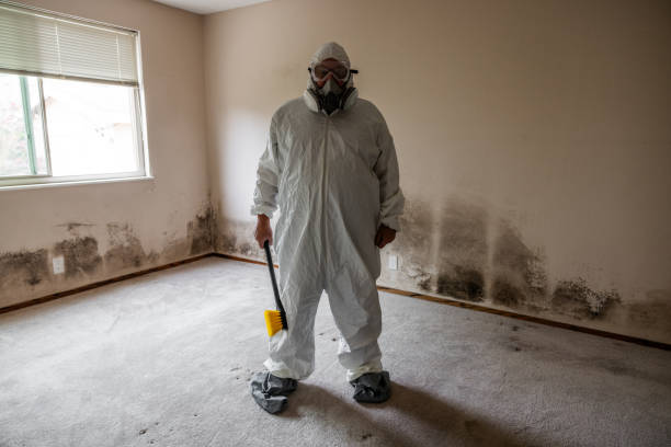 Why You Should Choose Our Mold Remediation Services in Morgantown, PA